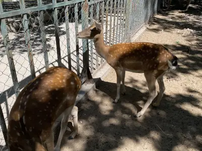 Зоокът Парк Кенана
