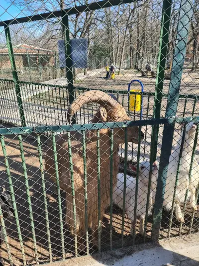 Зоопарк Хасково