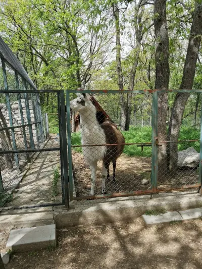 Зоопарк Хасково