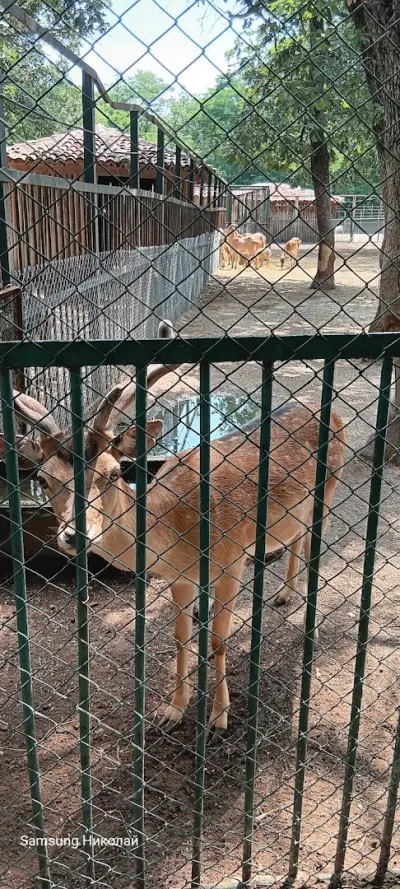 Зоопарк Хасково