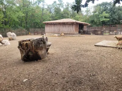 Зоопарк Хасково
