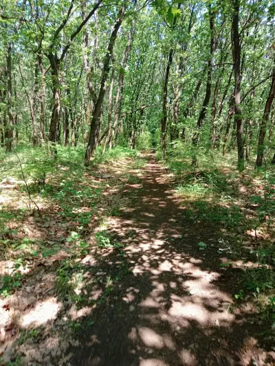 Лесопарк Кенана ,Хасково