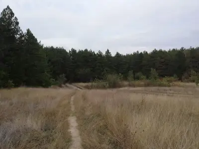 Лесопарк Кенана ,Хасково