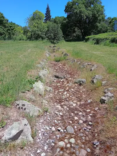 Лесопарк Кенана ,Хасково