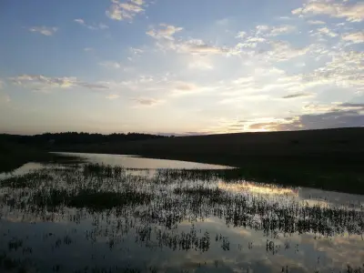 Полигона - Сивата вода