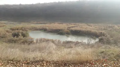 Полигона - Сивата вода
