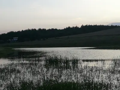 Полигона - Сивата вода