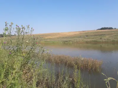 Полигона - Сивата вода