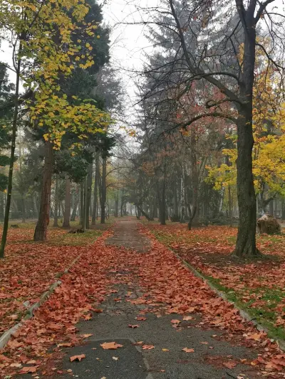 Централен парк