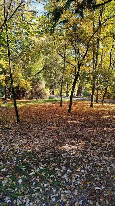 Централен парк
