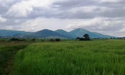 Язовира - Еко Рибарник