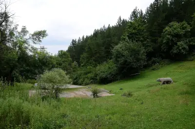 Парк "Мечката"