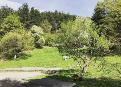Парк "Мечката"