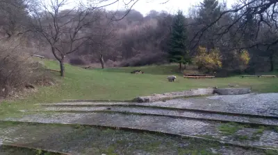 Парк "Мечката"