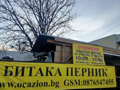 Битакa Перник