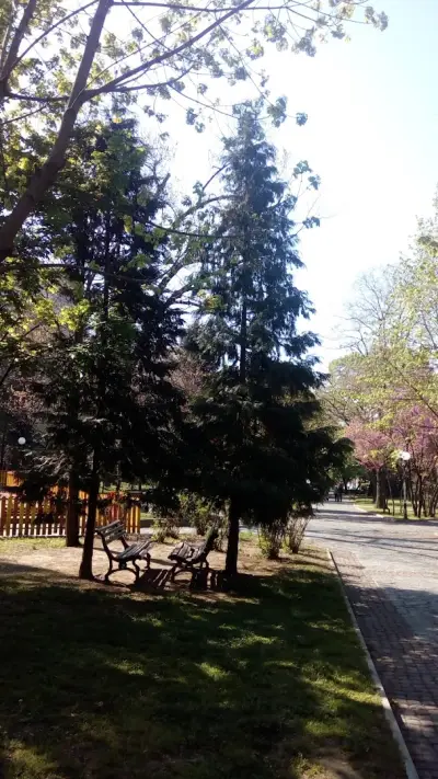 Градска градина