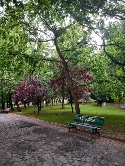 Градска градина