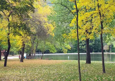 Парк „Бачиново“
