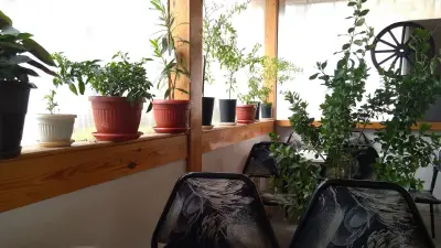 Кафе Апостолов