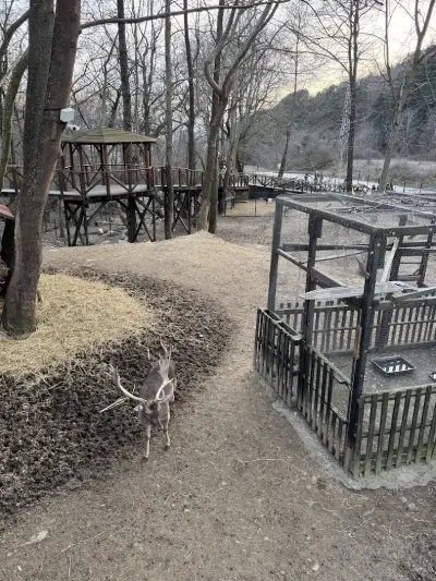 Зоокът Сандански