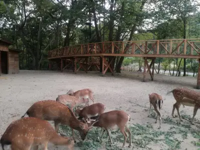 Зоокът Сандански