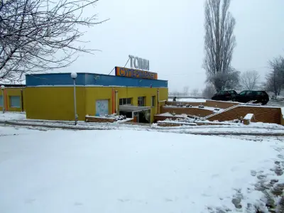 Томи Дружба