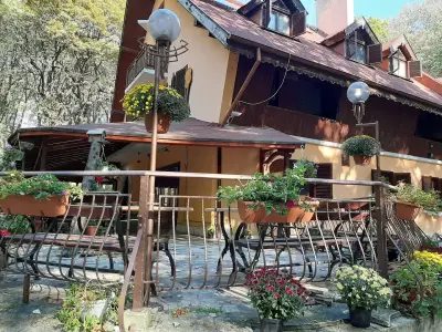 КИПАРИС