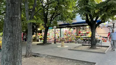 Шадраван "Пингвините"