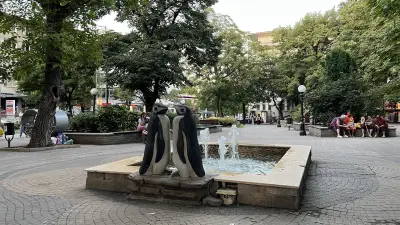 Шадраван "Пингвините"