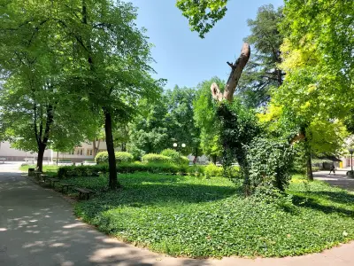 Парк „Алана“