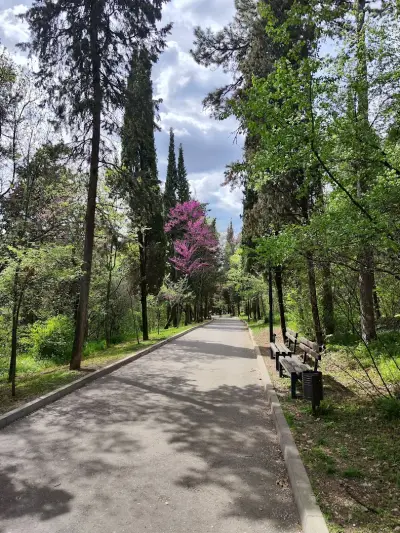 Малкото Аязмо