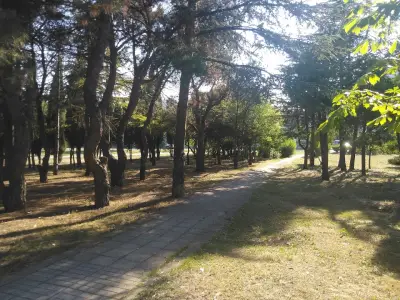Парк
