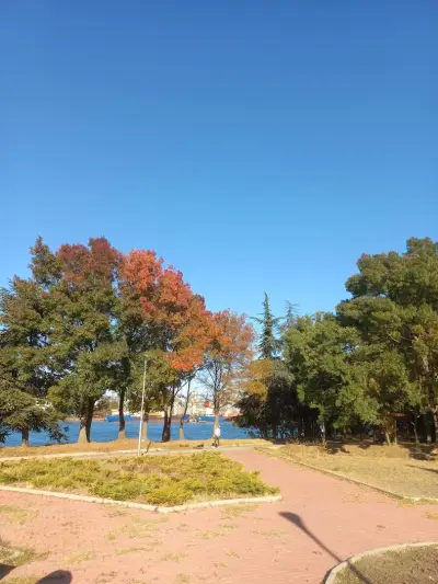 Park and Playground