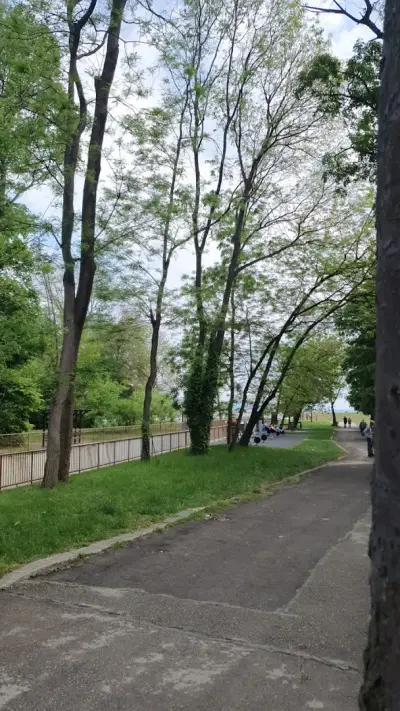 Park and Playground