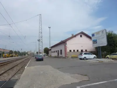 Владимир Павлов