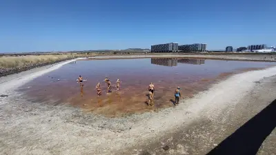 Солници Поморие голям геран