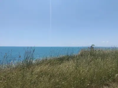 Солници Поморие голям геран