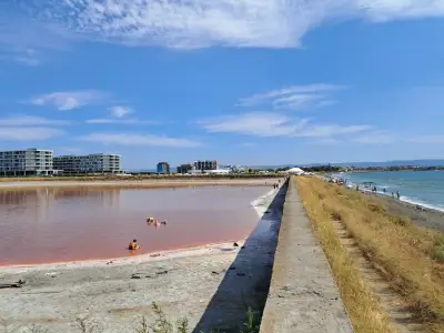 Солници Поморие голям геран
