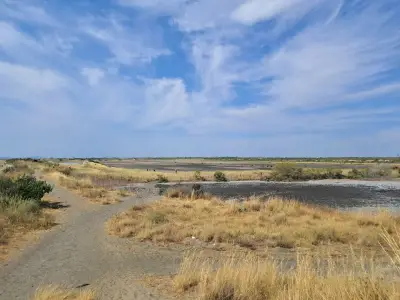 Солници Поморие голям геран