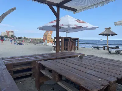 Beach Bar Algae