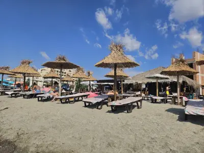 Beach Bar Algae