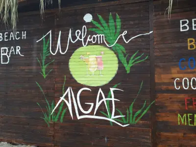 Beach Bar Algae