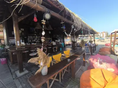Beach Bar Algae
