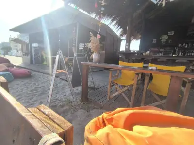 Beach Bar Algae