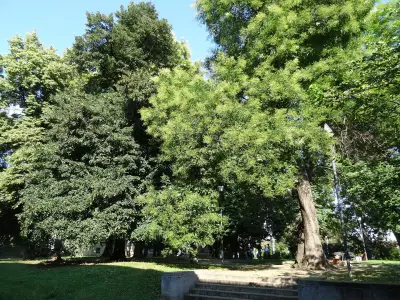 Градина „Руската църква“