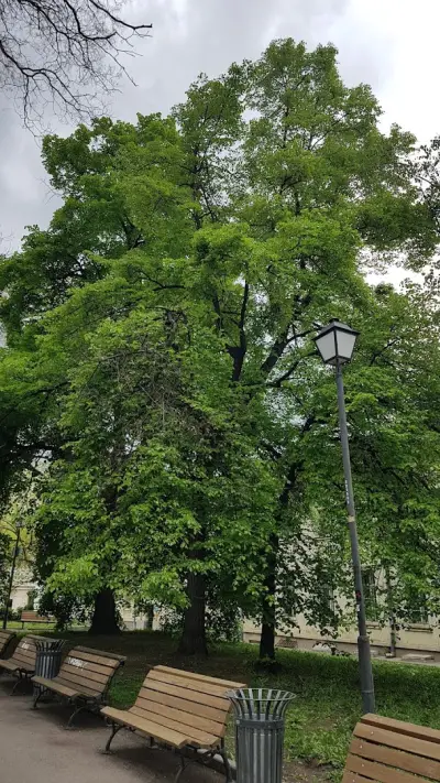 Градина „Руската църква“