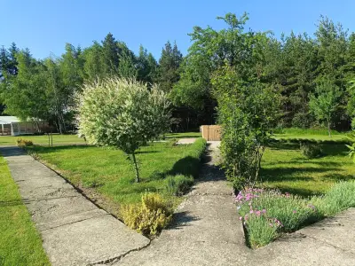 Вакарел Гората