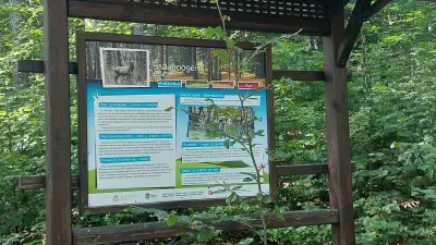 Детска природна академия Узана
