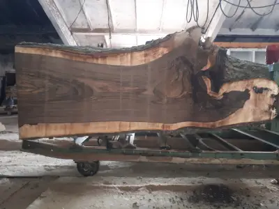 ДИКИЛЕНИО