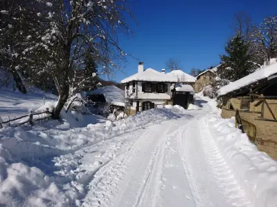 House Aglaia